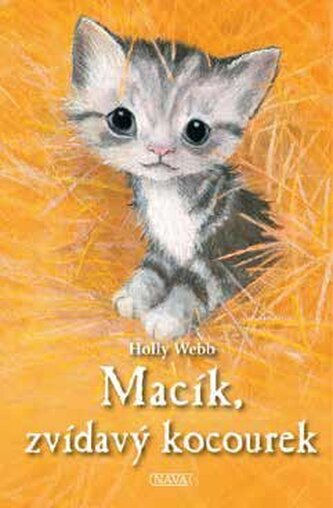 Macík, zvídavý kocourek