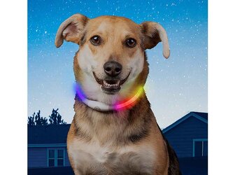 Nite Ize NiteHowl Mini dobíjecí LED bezpečnostní obojek - Disc-O Select Standard (30,5 - 68,5 cm)