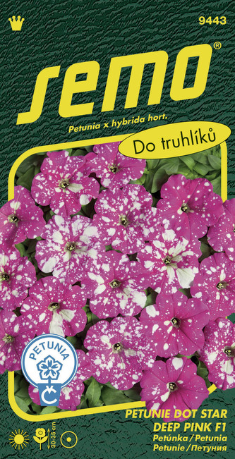Petunie mnohokvětá - Dot Star Deep Pink F1 40p Petunie mnohokvětá - Dot Star Deep Pink F1 40p