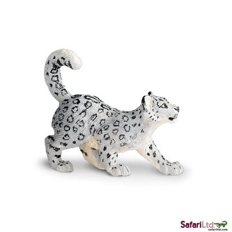 Mládě levharta sněžného