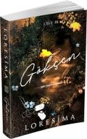 Gökcen 3 - Güz Yagmurlari