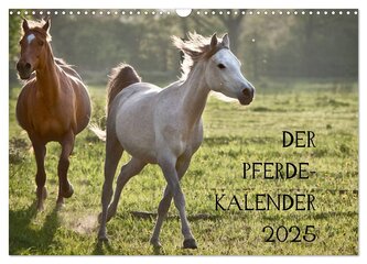 Pferdekalender (Wandkalender 2025 DIN A3 quer), CALVENDO Monatskalender
