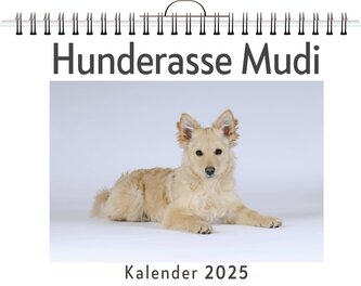 Hunderasse Mudi