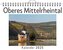 Oberes Mittelrheintal