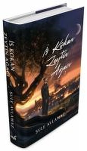 Is Kokan Zeytin Agaci 2 Ciltli