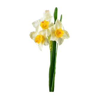Kytička narcisů 43 cm, bílá