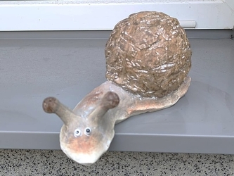 Šnek šedohnědý střední