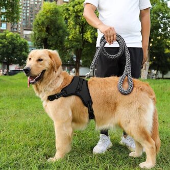 Postroj pro psa vel. S rukojeť PA0303 šerný