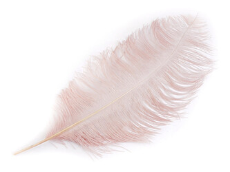 Pštrosí peří délka 60 cm - 1 ks - 10 pudrová