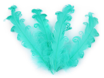 Husí peří kudrnaté délka 12-18 cm - 20 ks - 18 tyrkys sv.