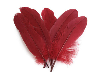 Husí peří délka 12-21 cm - 20 ks - 16 bordó sv.