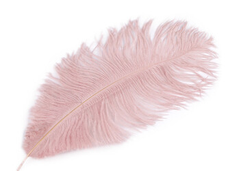 Pštrosí peří délka cca 20-25 cm - 2 ks - 16 pudrová