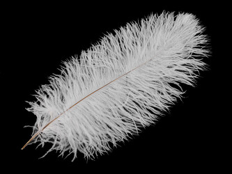 Pštrosí peří délka 40-45 cm nebělené - 1 ks - bílá přírodní