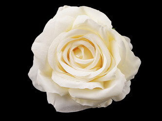 Umělý květ růže Ø10 cm - 100 ks - 1 krémová světlá