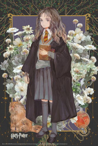 Plakát, Obraz - Hermione Granger - Yume, 40 × 60 cm