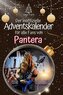 Der inoffizielle Adventskalender für alle Fans von Pantera