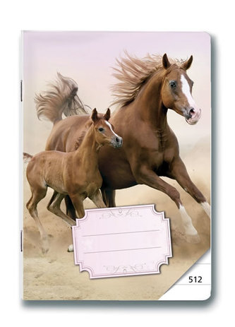 Sešit 512 Koně