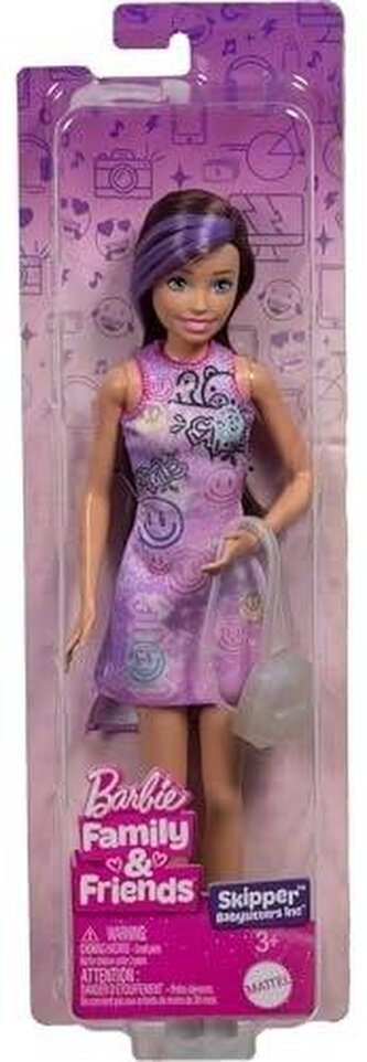 Barbie Family&Friends Lalka Skipper JBF41 MIX