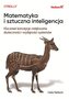 Matematyka i sztuczna inteligencja. Kluczowe koncepcje zwiększania skuteczności i wydajności systemów