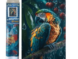 Diamantový obrázek Papoušek  v dešti 30 x 40 cm