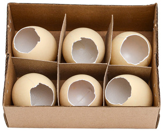 Jajka wielkanocne kurze WPJ-8919, Aliga