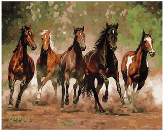 Numermoalowanie Classic 50x65  Konny wyścig PC5065035,, iPicasso