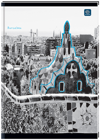 Brulion A5 96 k. kratka oprawa twarda, Interdruk