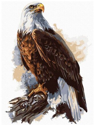 Numeromalowanie Classic 30x40 Orzeł - godło polskie, iPicasso