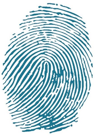 Szablon KSTD001, Stamperia