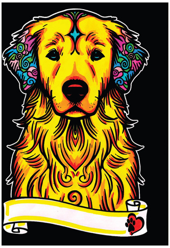 Kolorowanka welwetowa A4 Golden Retriever, Colorvelvet