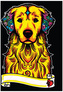 Kolorowanka welwetowa A4 Golden Retriever, Colorvelvet