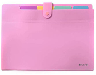 Teczka harmonijkowa A4 PP 5 przegródek pastel różowa, Biurfol