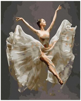 Numermoalowanie Classic 40x50 Doskonałość w tańcu, iPicasso