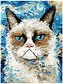 Numermoalowanie Classic 30x40 Kot Van Gogha, iPicasso