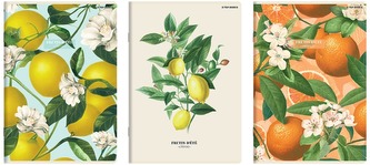 Zeszyt A4 60 k. kratka 70g Summer, Top-2000