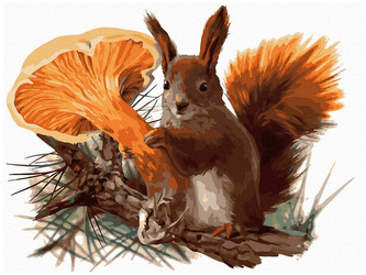 Numeromalowanie Classic 30x40 Zapobiegliwa wiewiórka, iPicasso