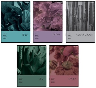 Zeszyt A5 96 k. kratka Botany, Top-2000