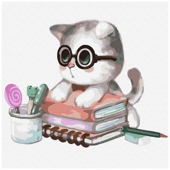 Numermoalowanie Classic 30x30 Sumienny uczeń, iPicasso