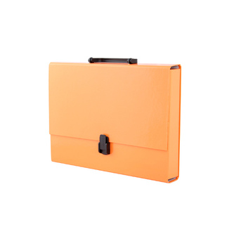 Teczka z rączką A4 pomar. pastelowa Tadeo