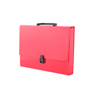 Teczka z rączką A4 czerwona pastelowa, Tadeo