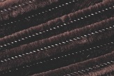 Wyciorki sepia op. 10 szt, Knorr Prandell