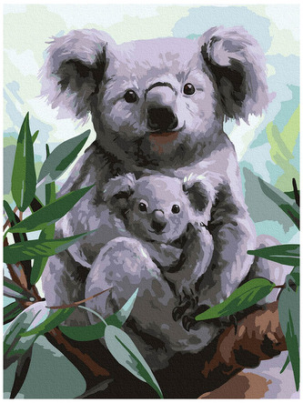 Numeromalowanie Classic 30x40 Koala, iPicasso