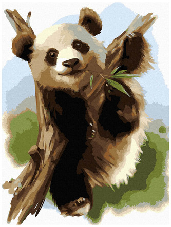 Numeromalowanie Classic 30x40 Niedźwiadek bambusowy, iPicasso