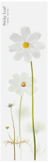 Kartki samoprzylepne pion Kosmos biały, Appree