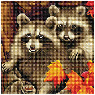 Mozaika diamentowa 30x30 - PD - cm Urocze szopy pracze, iPicasso