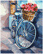 Numermoalowanie Classic 40x50  Rowerowe podróże PC4050853, iPicasso