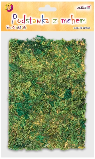 Podstawka drewniana z mchem 15x20, Aliga