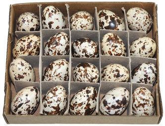 Jajka wielk. plastik 3,6 cm, przepiórcze WPJ-8965, Aliga