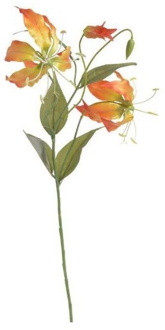 Glorioza gałązka 77cm, Dekarobilia