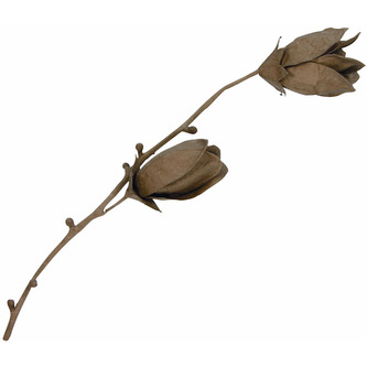 Magnolia 13 x 65 x 8 cm. HD026, Decopatch